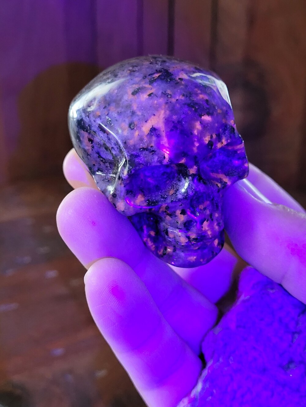 Yooperlite Skull - Picture 12 of 17